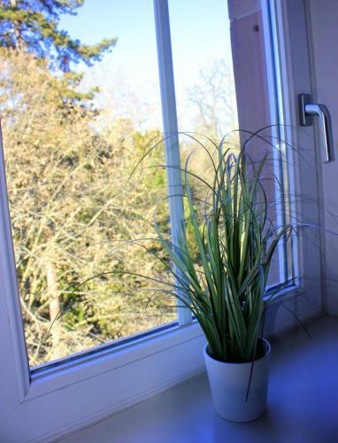 Apartamento Studio De La Petite Venise