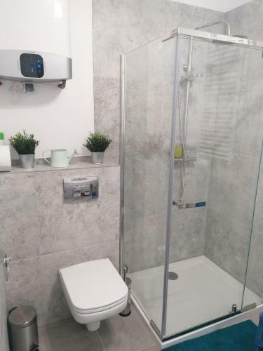 Apartament Na ?ebskiej