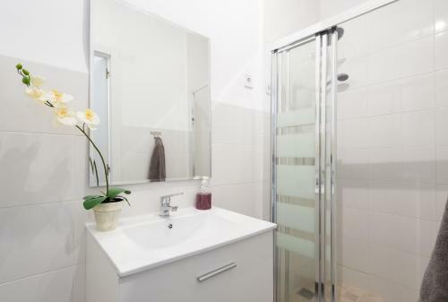 Apartamento Mu�oz Torrero
