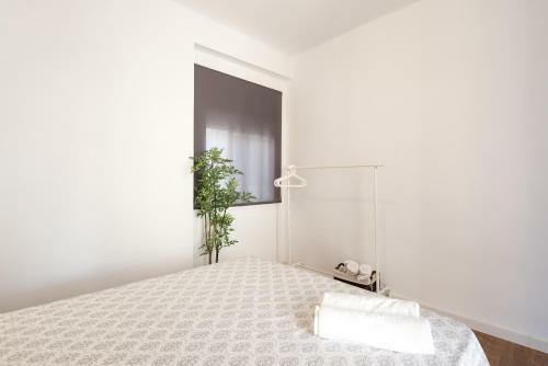 Apartamento Mu�oz Torrero
