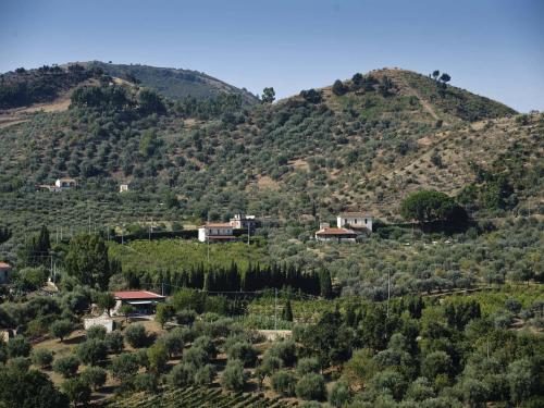 Apartamento La Collina Degli Ulivi