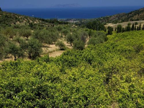 Apartamento La Collina Degli Ulivi