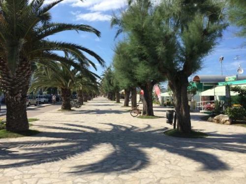 Apartamento Casa Al Mare A San Benedetto Del Tronto