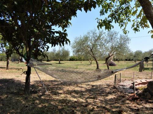 Agroturismo Podere San Guglielmo