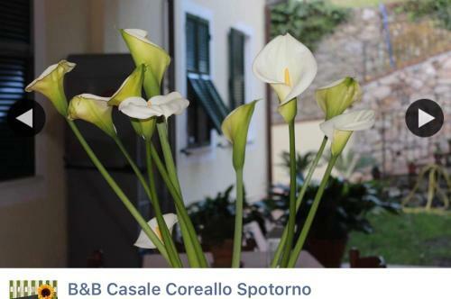 B&B Casale Coreallo Spotorno