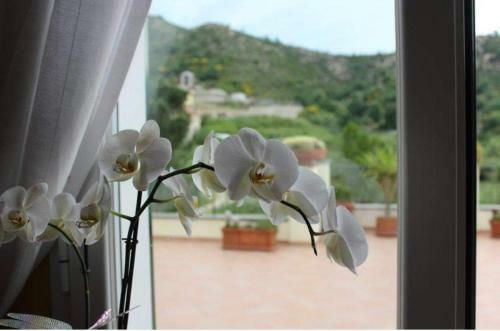 B&B Casale Coreallo Spotorno