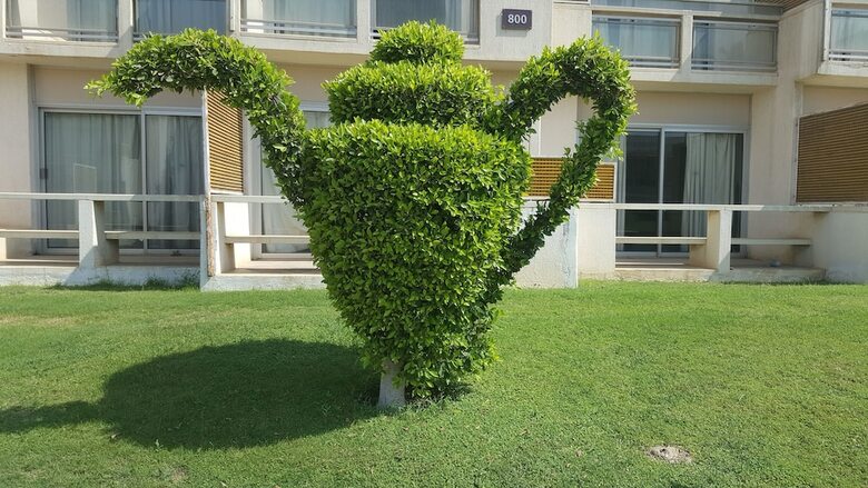 Hotel Pyramids Park Resort