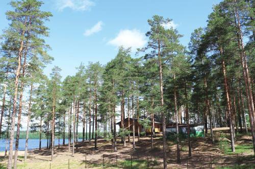 Hotel Forest Rhapsody Resort