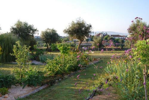 Apartamento Olive Suites