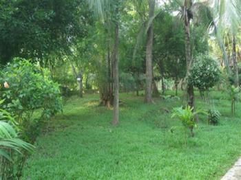 Hostal Kottawatta Village