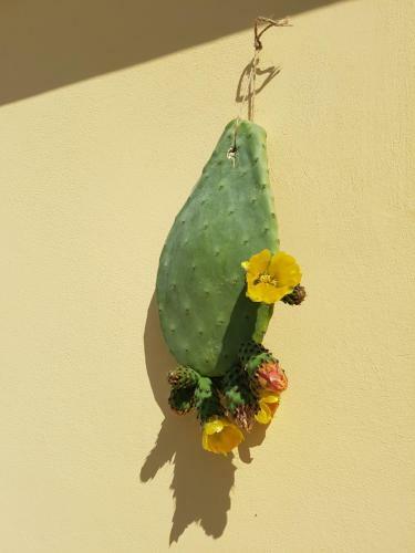 Hostal Guesthouse A Casina B&B