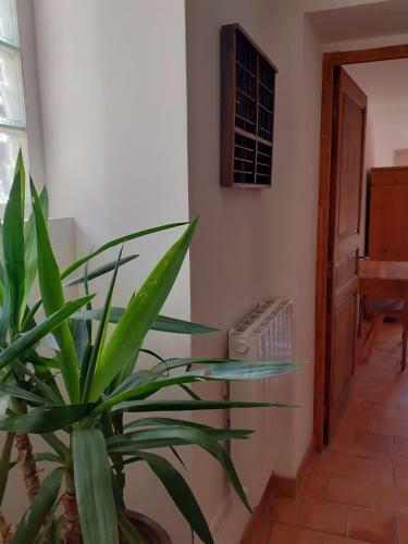 G�te Des Tineries