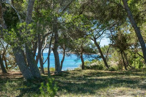 Sa Rondalla - Formentera