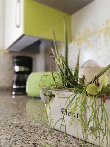 Apartamento Fantastic Comarruga