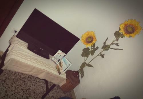 Apartamento Cami Vell