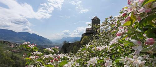 Hotel Zum Tiroler Adler