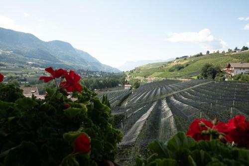 Hostal Garni Pircher