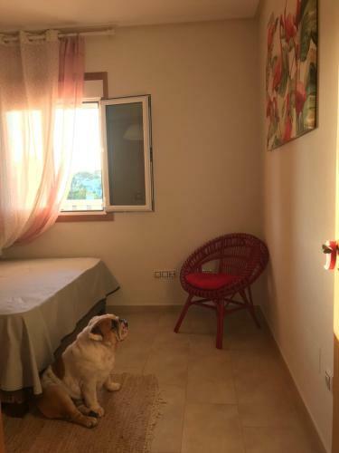Apartment Villamartin