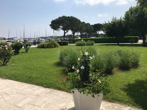 Residence Brama