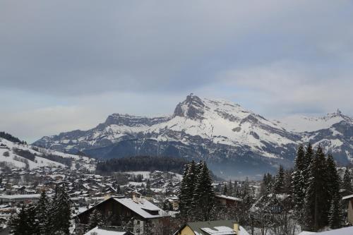 Apartamento Fabulous Residence Lesporting Ski - Ae203