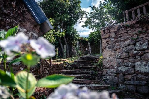 Bed & Breakfast Chambres D'h�tes Ty Yann