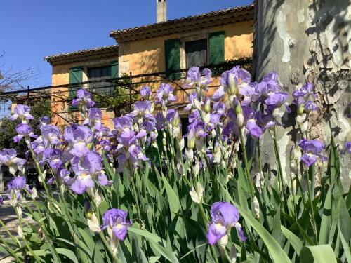 Bed & Breakfast La Bergerie De Castellan