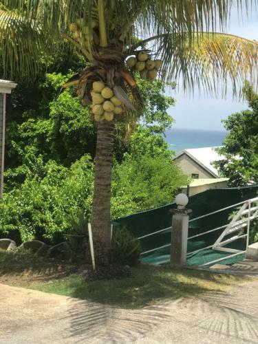 Apartamento Logement Les Pieds Dans L Eau