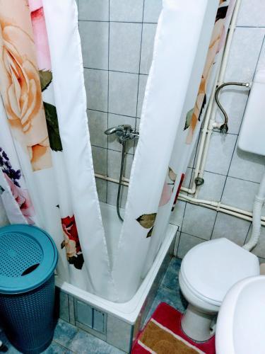 Apartman Jovanovi? 1