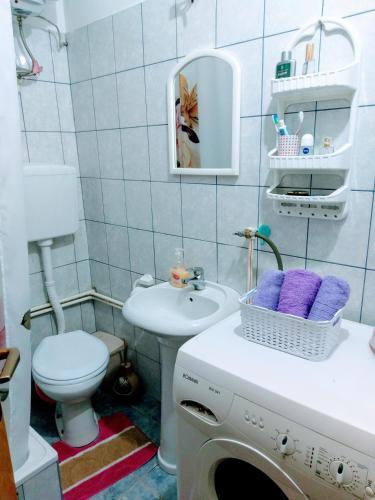 Apartman Jovanovi? 1