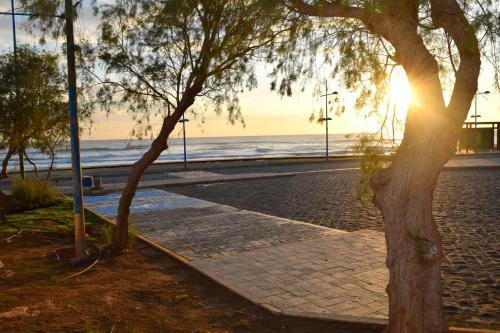 Bed & Breakfast Ocean Dreams Suites