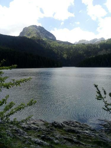 Apartments Durmitor