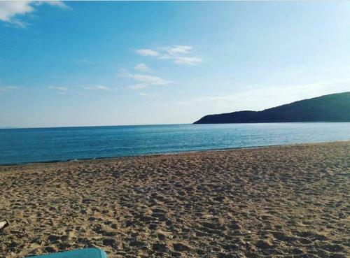 Apartmani Budva - Jaz