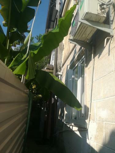 Hostal Guest House Marina