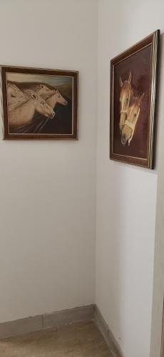 Apartamento Ku?a Za Odmor "crni Bor"