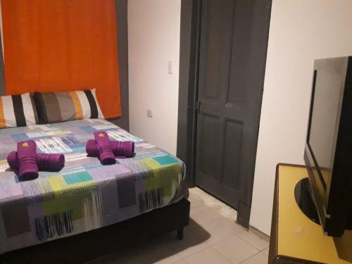 Hostal Grapes 490