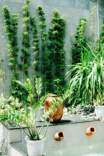 Albergue Chi Homestay #4