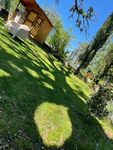Apartamento Il Leccione