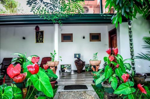 Hotel Yala New Nehansa Resort