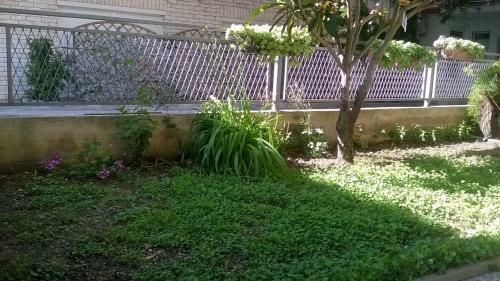 Apartman Renata