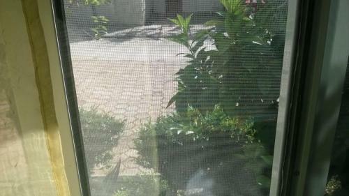 Apartman Renata