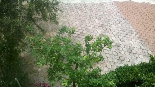 Apartman Renata