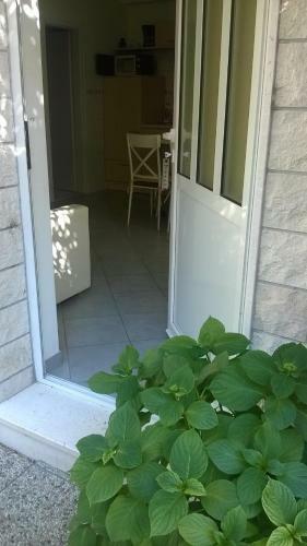 Apartman Renata