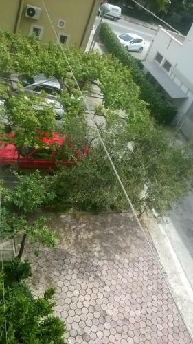 Apartman Renata