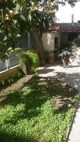 Apartman Renata
