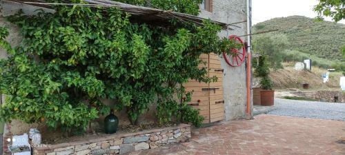 Posada L'ulivo Imperfetto