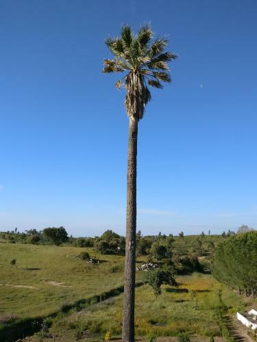 Agroturismo Quinta Da Abrunheira - Gustavo Eiffel