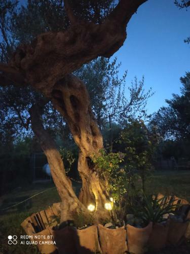 La Casa Di Maira