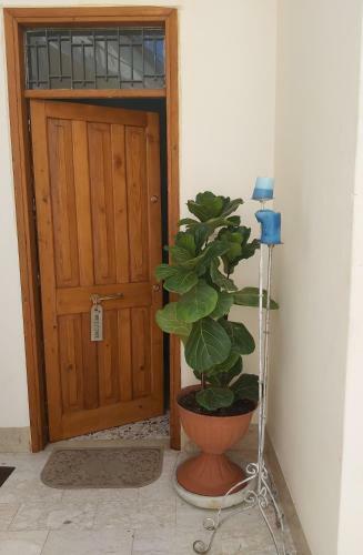 Hostal Il Mare A Due Passi