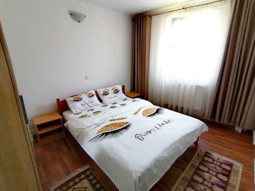 Hostal Casa De Vacanta Andre