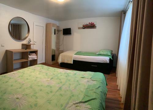 Hostal Casa De Vacanta Andre